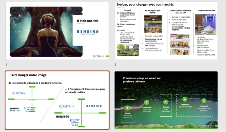 Etude stratégique Behring waters